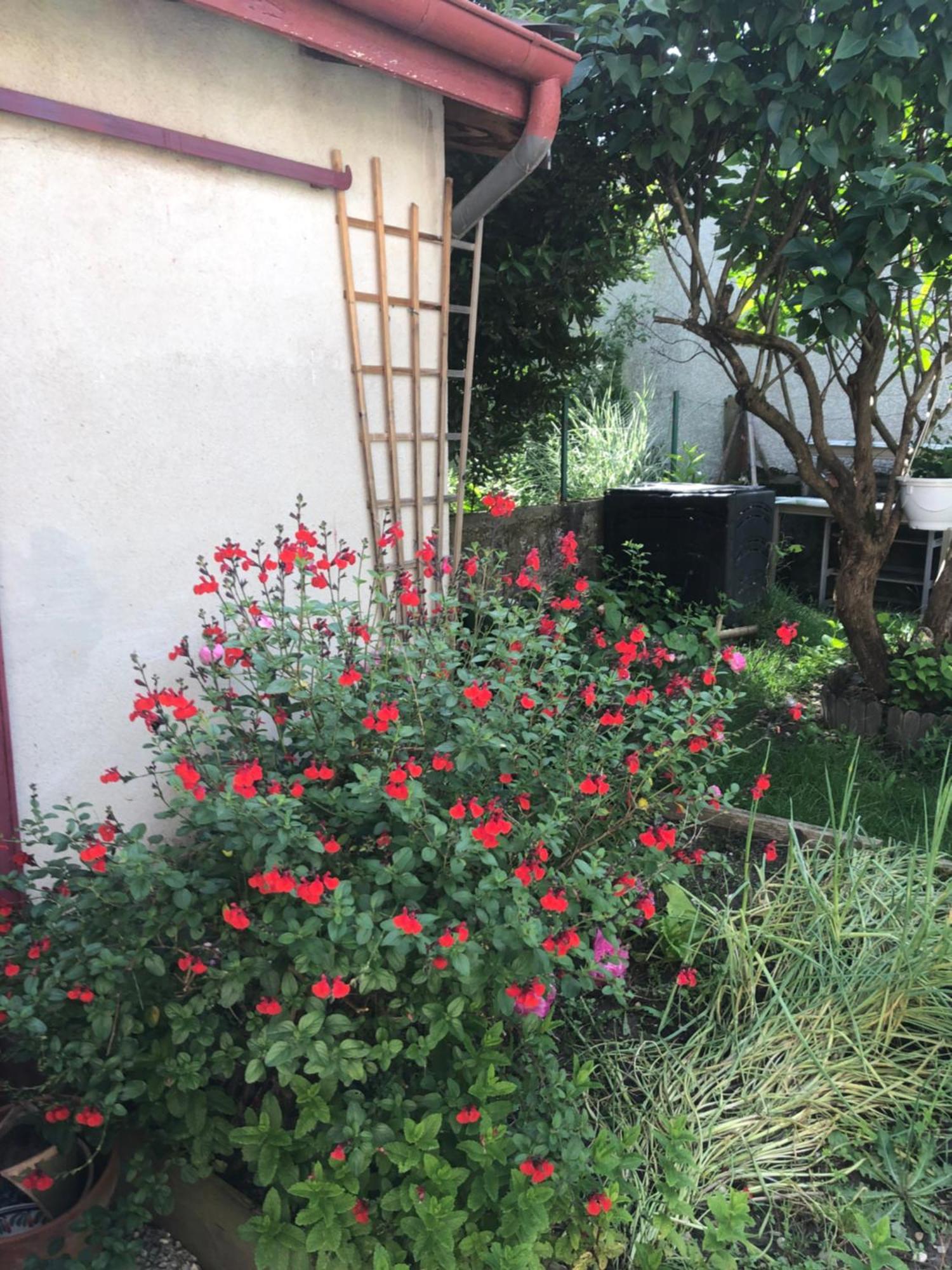 Ibis Rouge Villa Villars-les-Dombes Luaran gambar