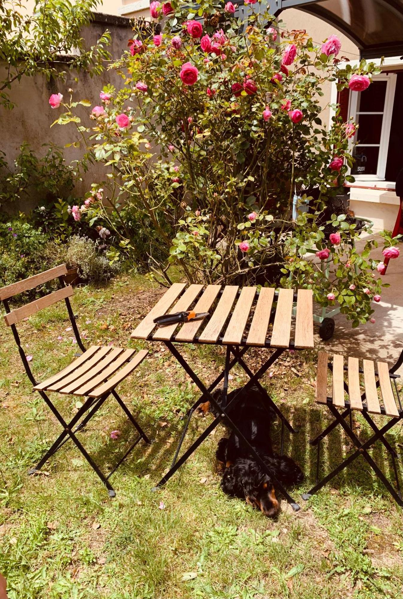 Ibis Rouge Villa Villars-les-Dombes Luaran gambar