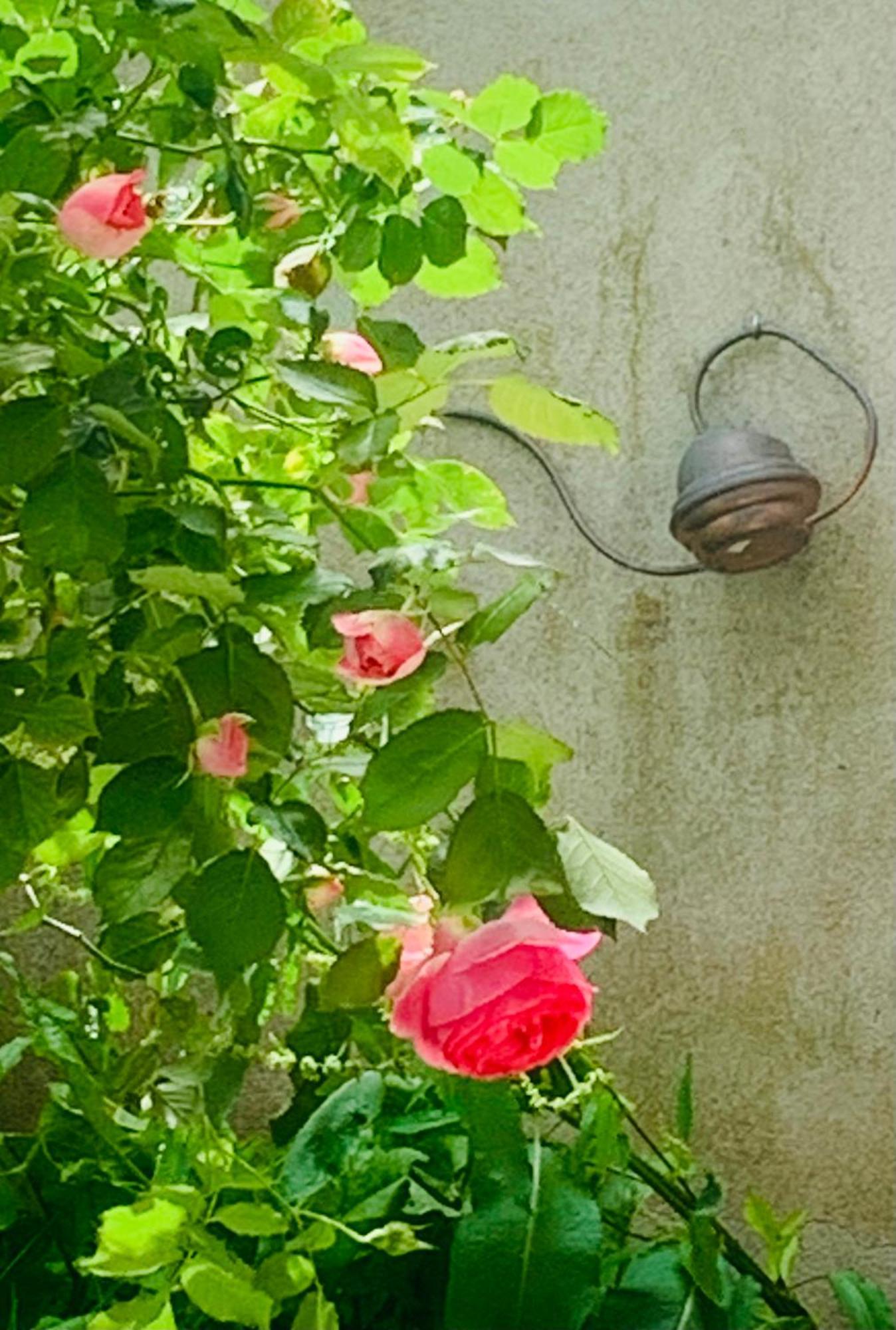 Ibis Rouge Villa Villars-les-Dombes Luaran gambar